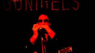 Stan Ridgway, Houston TX 5/24/11 - Don&#39;t Box Me In