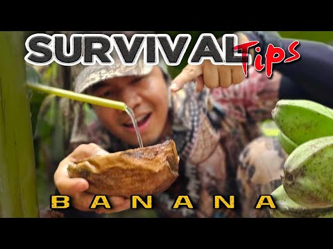Kaya Pala Nating Mag-Survive sa Pamamagitan ng Saging