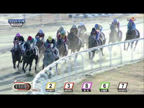 Gyeongnam Governor's Cup 2014 - Gamdonguibada