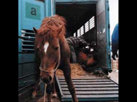 widzeee’s Video 124191205788 q_2xOYxkPDw