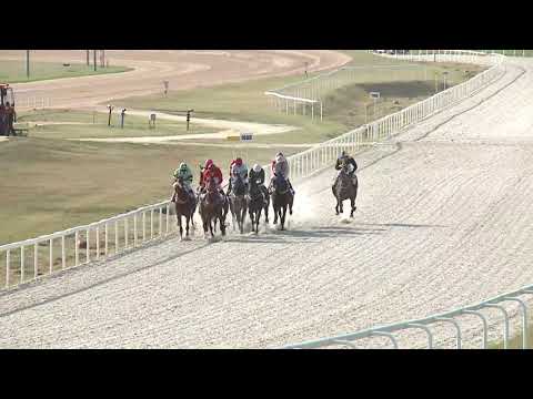 2020.09.20. 06. futam - MINERAL HENDIKEP (III.o.)(szintetikus pálya)