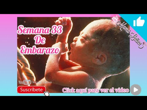 33 Semanas de embarazo 33 Semanas de embarazo