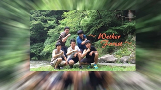 Wether forestウェレスト- のライブ ストリーム