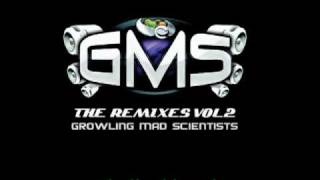 GMS Who Da Funk Feat. Jessica Eve - Shiny Disco Balls (GMS Remix)