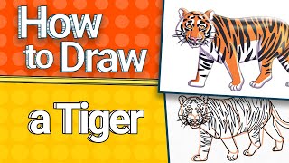 How to Draw a Tiger | Step by Step Tutorial for Kids 🐯