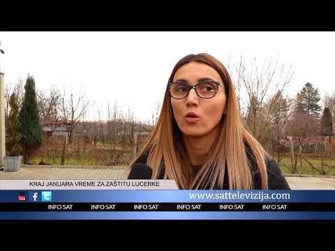 KRAJ JANUARA VREME ZA ZAŠTITU LUCERKE