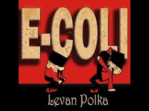 E-coli - Ievan Polka