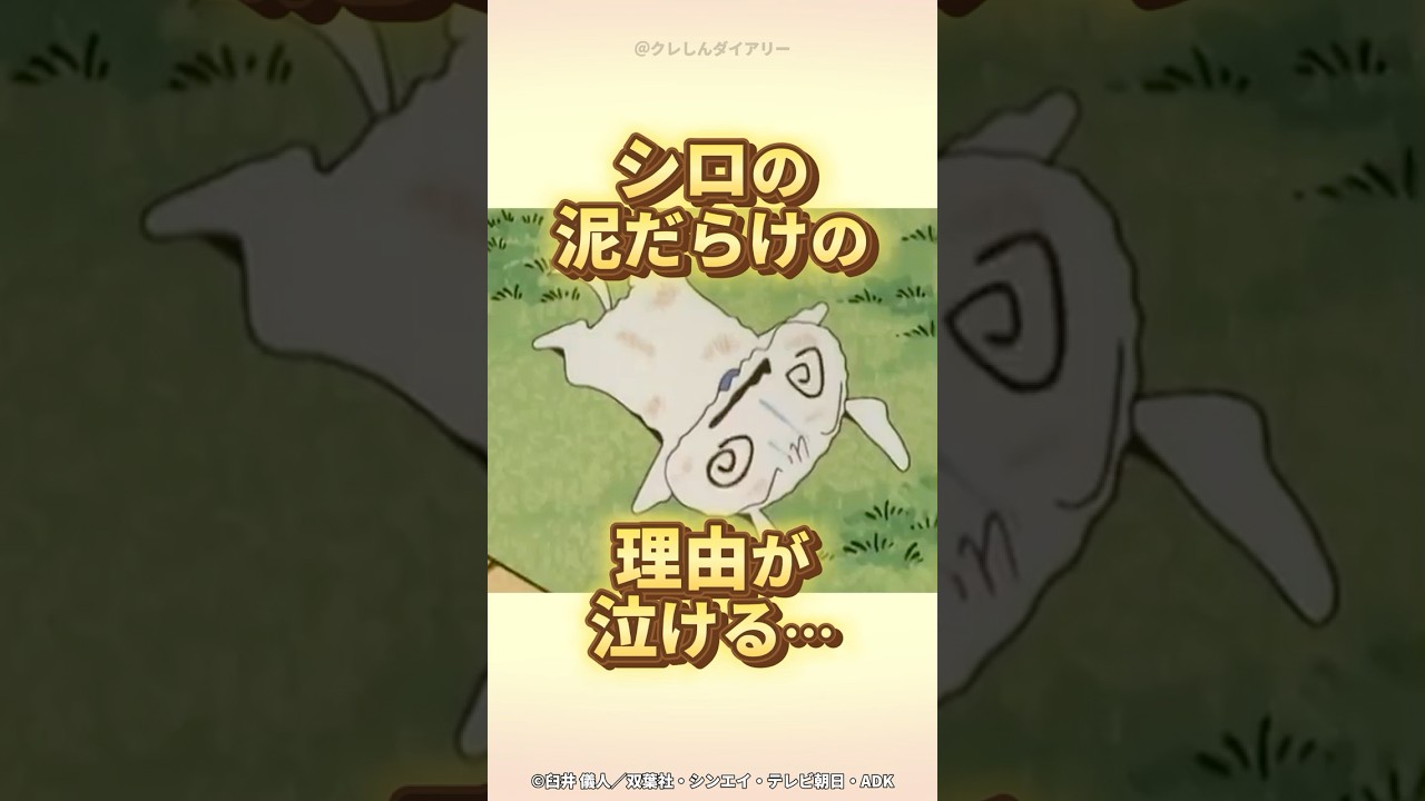 【感動】シロの泥だらけの理由が泣ける『シロもひまわりを見守ってるゾ』#クレしん #クレヨンしんちゃん #感動シーン #感動回