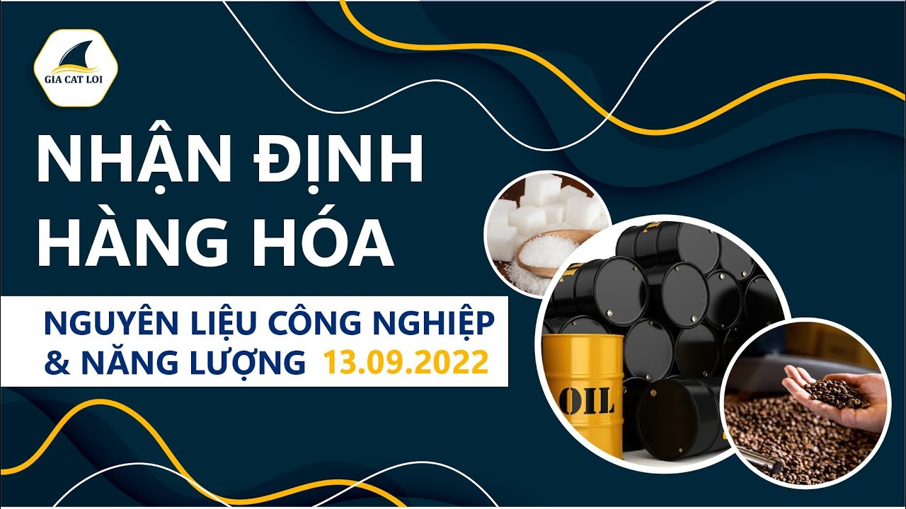 Nhận Định Thị Trường Năng Lượng & Nguyên Liệu Công Nghiệp Ngày 13/09/2022