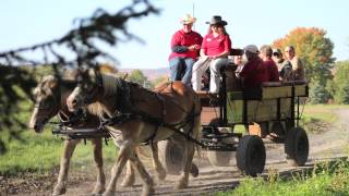 preview picture of video 'Experience Elk Country'