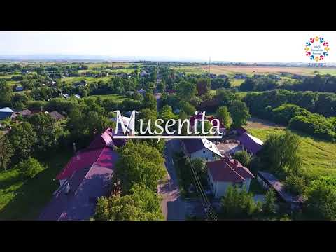 PRO România - Organizația de tineret Suceava