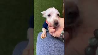 I hope this makes your day a little bit brighter. I hope this makes your day a little bit brighter.