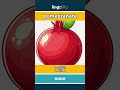 pomegranate - 石榴 video thumbnail