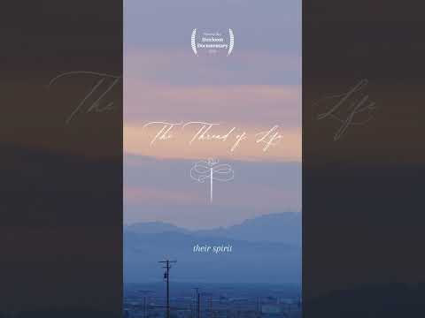 The Thread of Life | A Heirloom Documentary Film to Preserve Heritage #documentaryfilms #heirloom