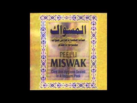 50+ Donuts in Christy's Dumpster - Peelu Miswak