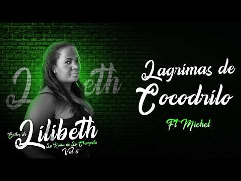 Lagrimas de Cocodrilo [Audio Oficial] - Lilibeth ft Michel