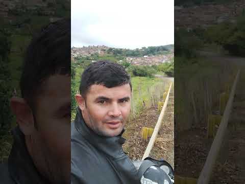 tamo por cá cidade de Maraial pe