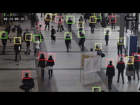 AI Bias Across Sectors