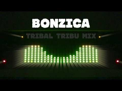 Bonsugi & Dj German - Bonzica (Tribal Tribu Mix)