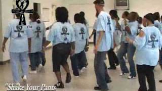 Step / Line Dance - "Shake Your Pants"