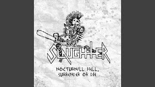 Disintegrator