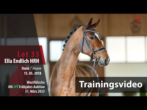 ONLIVE Frühjahrs-Auktion Training Lot 35 Ella Endlich HRH Stute v. Erdinger - Destano