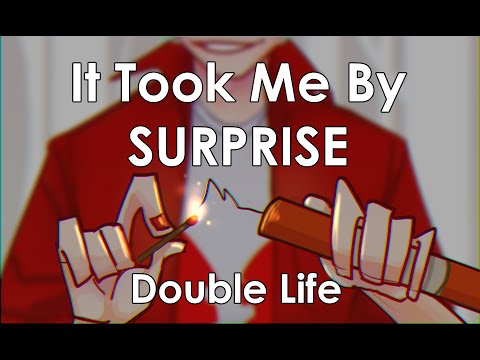 It Took Me By Surprise | Double Life SMP animatic
