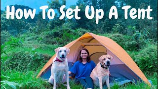 How To Set Up A Tent | Setting Up Amazon Basic Tent | Camping