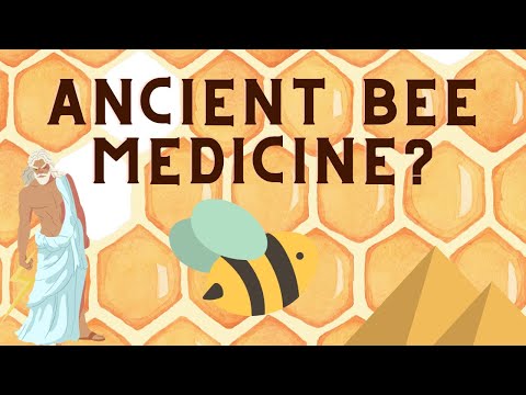 Propolis Benefits: Medicine of the Bees