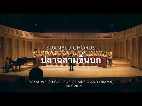 ปลาฉลามขึ้นบก (Pla Chalarm Khuen Bok) by Suanplu Chorus  สวนพลูคอรัส (RWCMD, Cardiff, Wales)