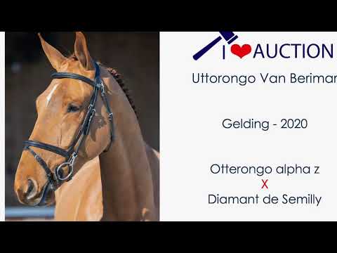 Uttorongo Van Berimar Movements