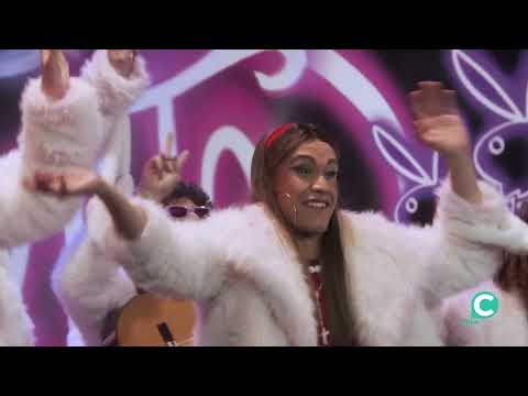 Chirigota, Una chirigota con Shoniket 3 - Cuartos