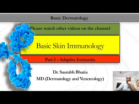 Basic Skin Immunology: Part 2 - Adaptive Immunity