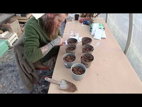 POTAGER : que faire au jardin EN JANVIER ?