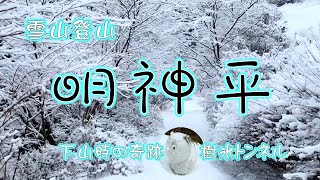 【奈良 登山 雪】樹氷登山 明神平