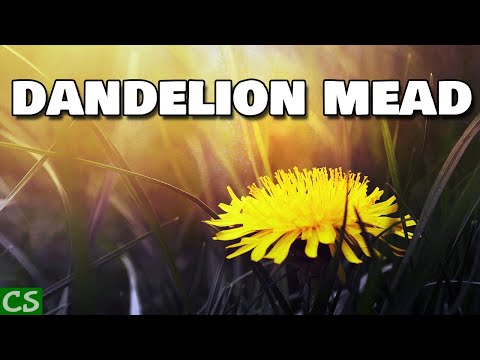 Easy Dandelion Mead Recipe at Home!