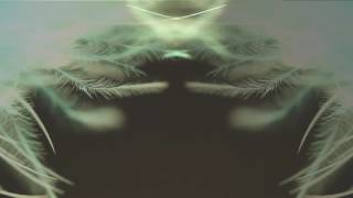 The Chopping Song - Madame Blavatsky Overdrive