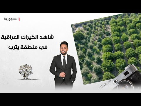 شاهد بالفيديو.. شاهد الخيرات العراقية في منطقة يثرب