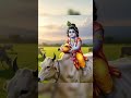 Yashoda Ka Nandlala Krishna Shortsfeed Radheshyam Haremurari Cutebaby Laddugopal Vrindavan