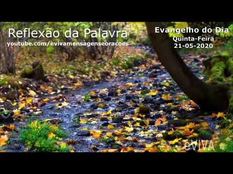 EVANGELHO DO DIA 21 05 2020 Narrado e Comentado   LITURGIA DIÁRIA   HOMILIA DIARIA HOJE
