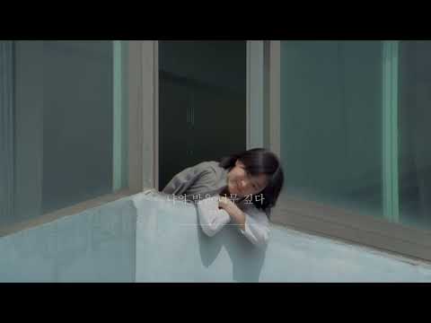아이콘