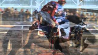 EL NIÑO DE ORO - GRUPO LABERINTO