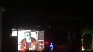 Anne Clark - Wallies (live)