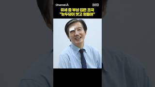 유세 중 부상 입은 조국 "눈두덩이 붓고 멍들어" #채널A #shorts #30짤