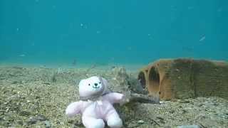 Gerry Read - Touching Me