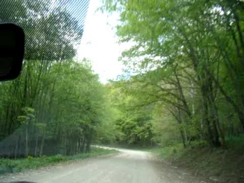 Carpati. Muntii Baraolt