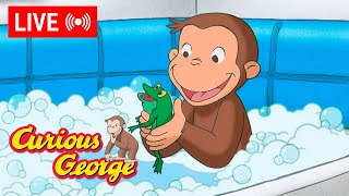 🔴 LIVE Curious George Episodes 🐵 George's Froggy Bath Time 🐸🛁 + MORE!