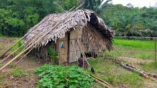 Download lagu Suku Dayak || Explore Hutan Kalimantan!! Makan Apa ya? mp3