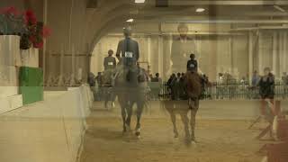 St. Lawrence Horse Show Highlights - February 23, 2020