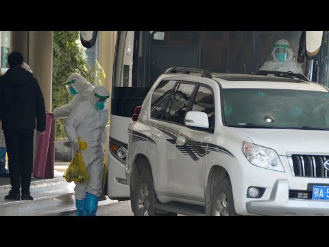 世衛組織開始調查武漢首例冠狀病毒病例｜DW新聞 (WHO investigators begin probing into the first Wuhan coronavirus cases | DW News)